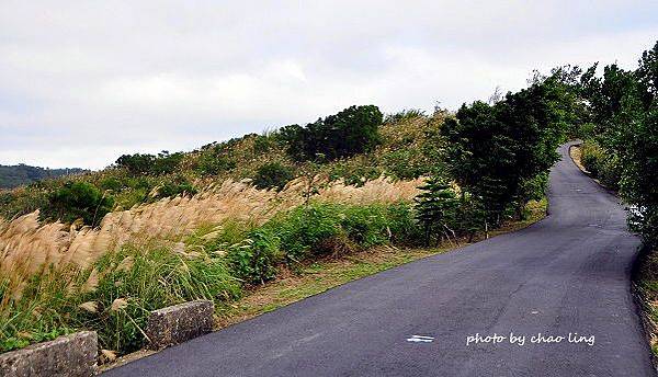 秀才步道-5.JPG