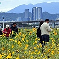 彩虹河濱公園-17.JPG