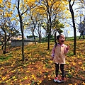八里櫻花季-51.JPG