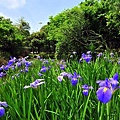 樂活公園-34.JPG