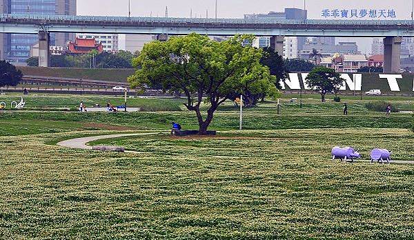 水漾.都會公園-11.JPG