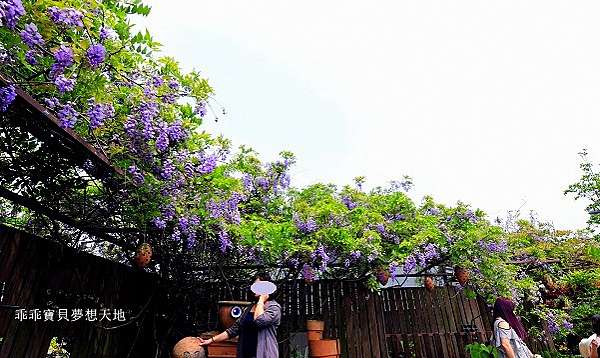 士林 賞花 台北花卉村 紫藤花季 園藝 親子diy 乖乖寶貝夢想天地 痞客邦 士林 賞花 台北花卉村 紫藤花季 園藝 親子diy 乖乖寶貝夢想天地 痞客邦