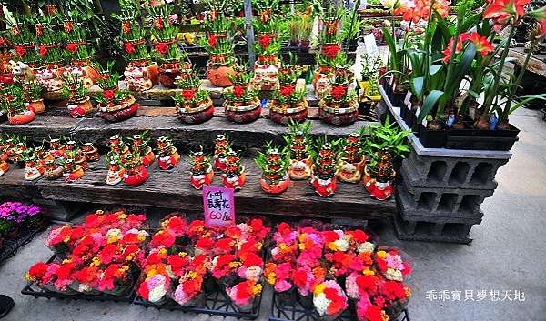 士林 賞花 台北花卉村 紫藤花季 園藝 親子diy 乖乖寶貝夢想天地 痞客邦 士林 賞花 台北花卉村 紫藤花季 園藝 親子diy 乖乖寶貝夢想天地 痞客邦