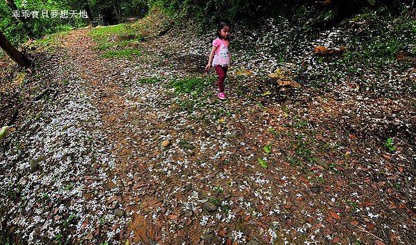 老公崎步道-20.JPG