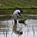 阿助伯農場-10.JPG