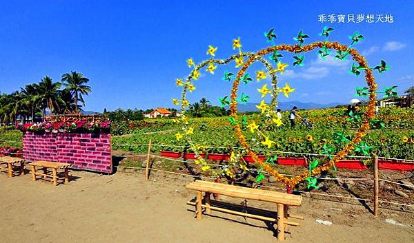 高雄杉林花海-14.JPG