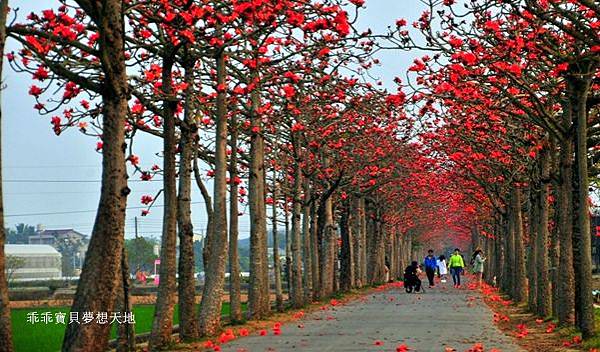 林初埤-1.JPG 林初埤-1.JPG