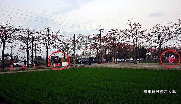 透早衝 很夯的火紅木棉道-林初埤 & 玉豐綠色隧道