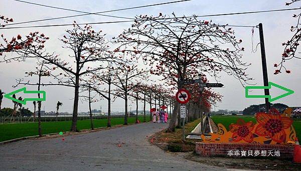 透早衝 很夯的火紅木棉道-林初埤 & 玉豐綠色隧道