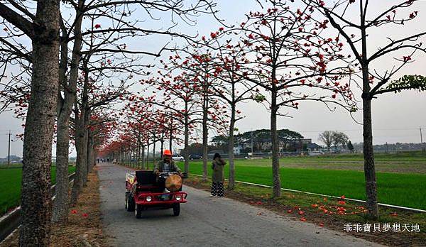 透早衝 很夯的火紅木棉道-林初埤 & 玉豐綠色隧道