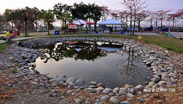 透早衝 很夯的火紅木棉道-林初埤 & 玉豐綠色隧道