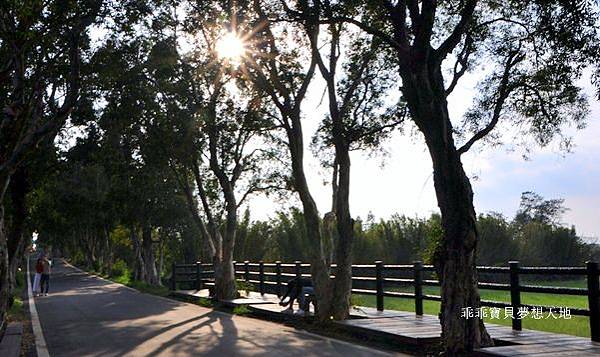 美拍。秘境 - 白千層綠色隧道