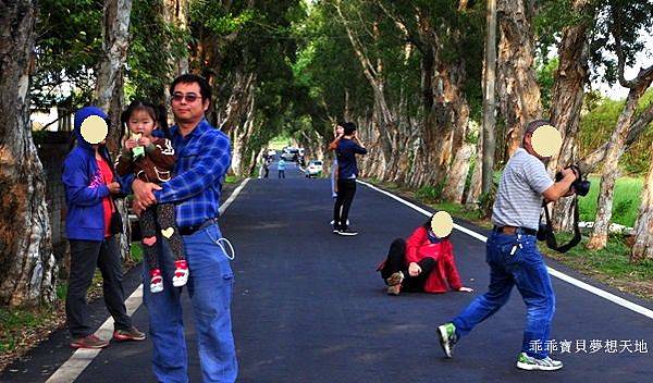 美拍。秘境 - 白千層綠色隧道