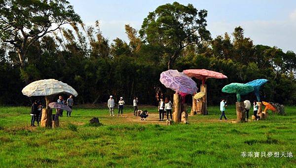 美拍。秘境 - 白千層綠色隧道