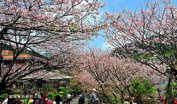 橘咖啡-1.JPG 橘咖啡-1.JPG