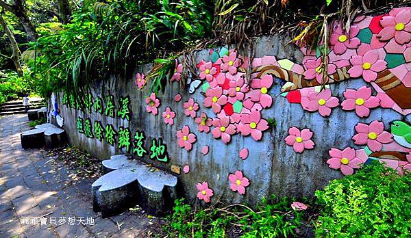 橘咖啡 &內厝溪櫻木花廊 - 壓軸粉櫻季