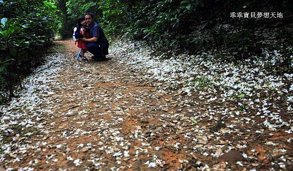 仁和步道-1.JPG 仁和步道-1.JPG
