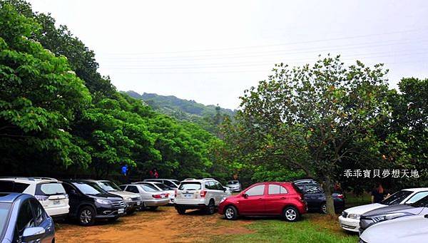 仁和 & 金獅步道 - 追四月雪