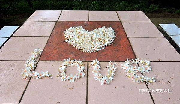 仁和 & 金獅步道 - 追四月雪