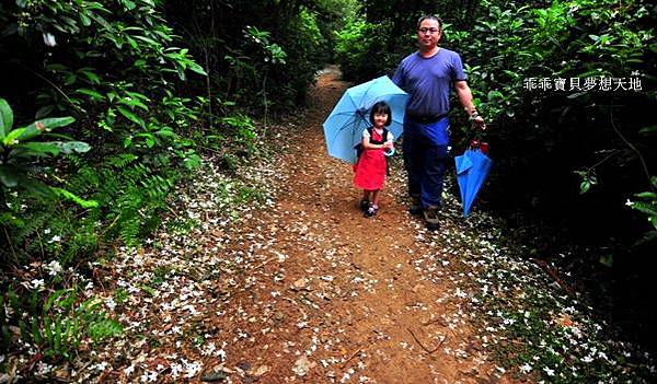 仁和 & 金獅步道 - 追四月雪