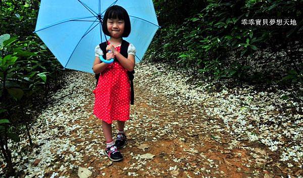 仁和 & 金獅步道 - 追四月雪