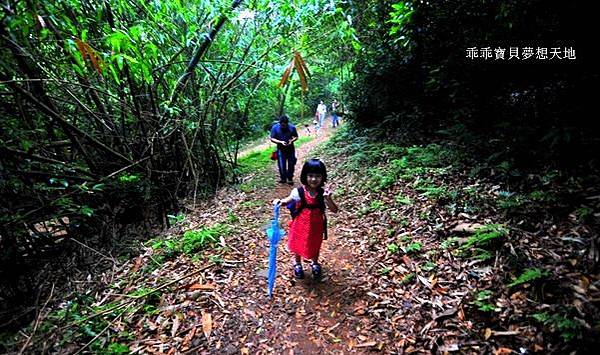 仁和 & 金獅步道 - 追四月雪