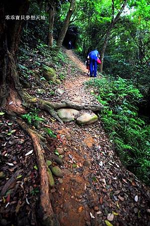仁和 & 金獅步道 - 追四月雪