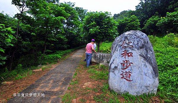 仁和 & 金獅步道 - 追四月雪