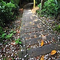 藤坪步道-10.JPG