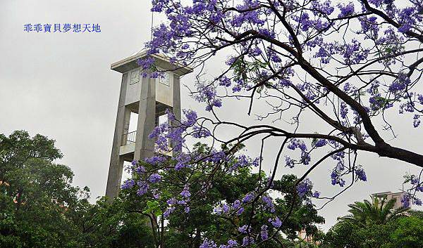 濕情畫意之藍花楹 - 廣豐&朝陽森林公園