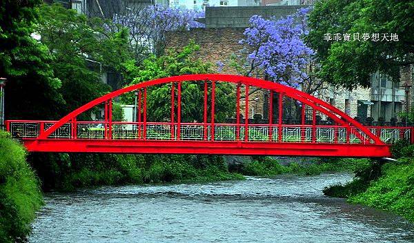 濕情畫意之藍花楹 - 廣豐&朝陽森林公園