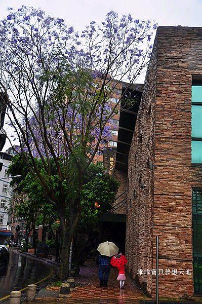 濕情畫意之藍花楹 - 廣豐&朝陽森林公園