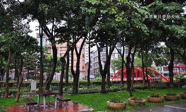 濕情畫意之藍花楹 - 廣豐&朝陽森林公園