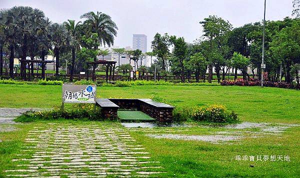 濕情畫意之藍花楹 - 廣豐&朝陽森林公園