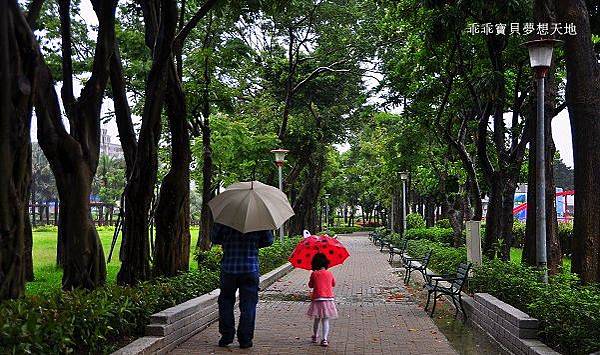 濕情畫意之藍花楹 - 廣豐&朝陽森林公園