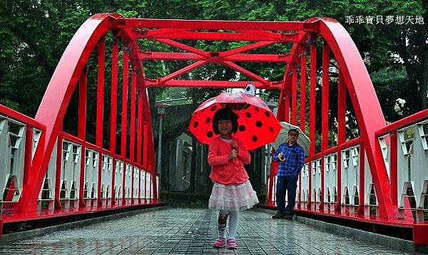 濕情畫意之藍花楹 - 廣豐&朝陽森林公園