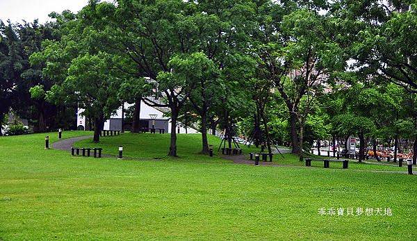 濕情畫意之藍花楹 - 廣豐&朝陽森林公園