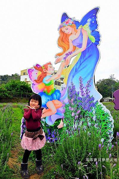 葛瑞絲香草田 - 免費參觀 夢幻之薰衣草花田