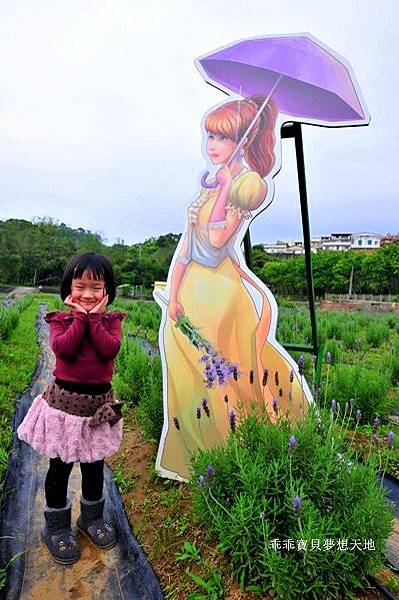 葛瑞絲香草田 - 免費參觀 夢幻之薰衣草花田