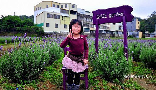 葛瑞絲香草田 - 免費參觀 夢幻之薰衣草花田
