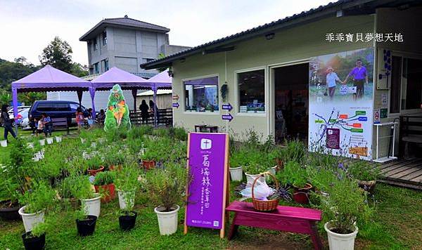 葛瑞絲香草田 - 免費參觀 夢幻之薰衣草花田