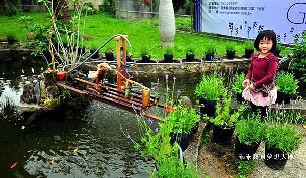 葛瑞絲香草田 - 免費參觀 夢幻之薰衣草花田