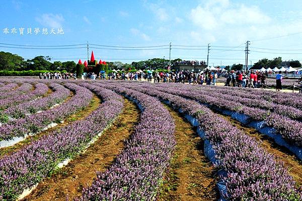 2019仙草花節 - 花漾楊梅仙境遊