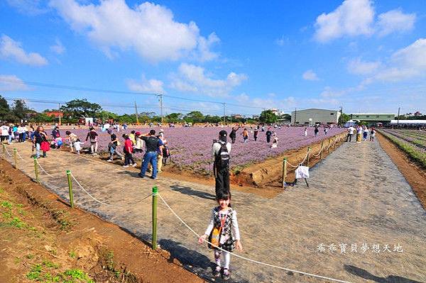 2019仙草花節 - 花漾楊梅仙境遊