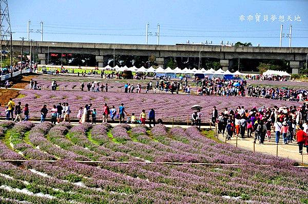 2019仙草花節 - 花漾楊梅仙境遊