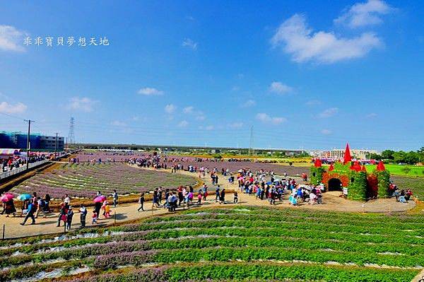 2019仙草花節 - 花漾楊梅仙境遊