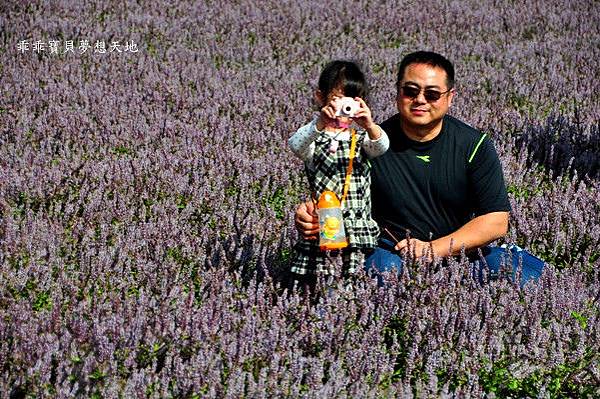 2019仙草花節 - 花漾楊梅仙境遊