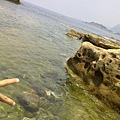 201107072370.jpg