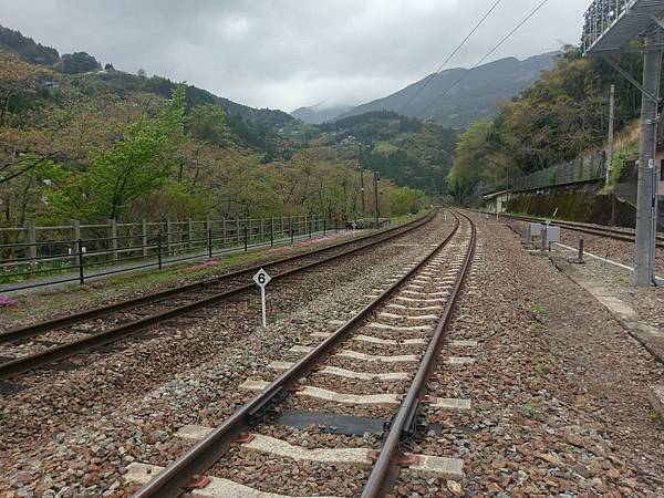 祖谷溫泉，籐蔓吊橋，琵琶瀑布還有高知城。_170428_0030.jpg