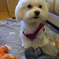 201201073168.jpg